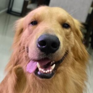 Profile photo of Alyssa